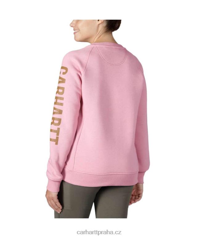 ženy mikina s logem na rukávu s logem střední váhy a volným střihem Carhartt 8BL8V210 asfaltový vřes nep
